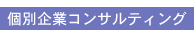 個別企業コンサルティング